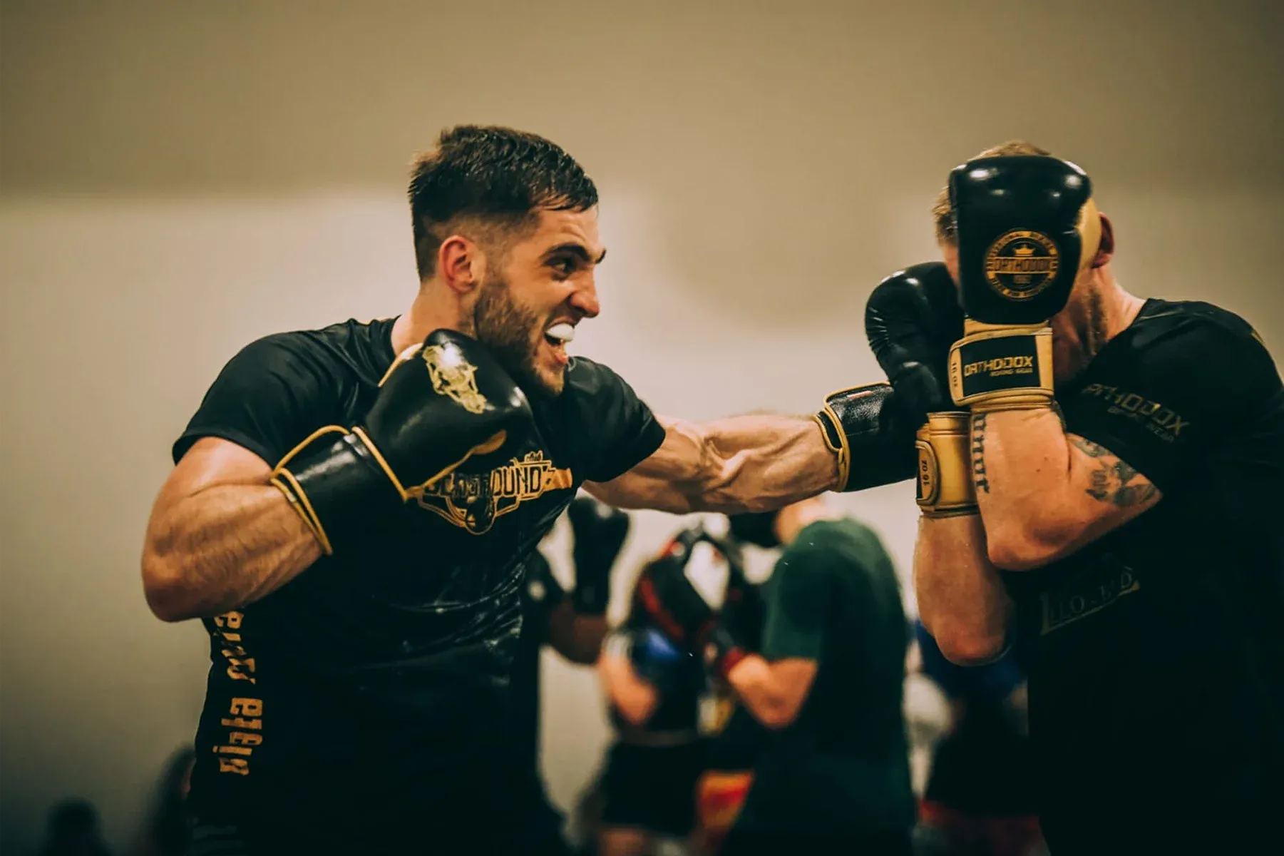 Boks w Białej Podlaskiej - Centrum Rozwoju Sportowego
